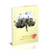 歌舞青春