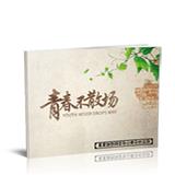 流金岁月