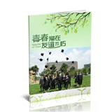 青春的色彩