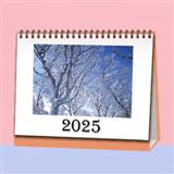 218 不一样的2025
