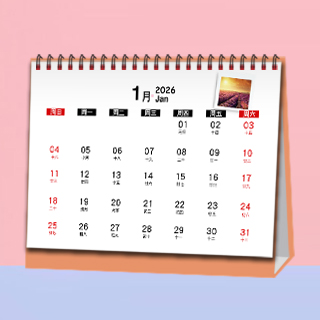 090 经典横款反面16