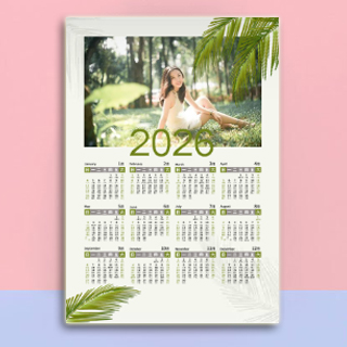 220 绿色简约植物 