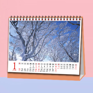 152 经典横款反面24