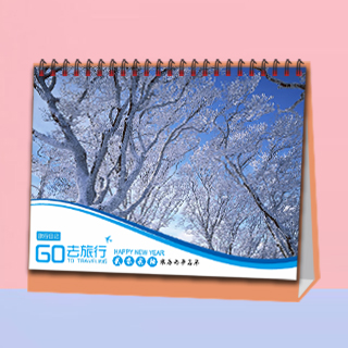 253 旅行日记反面